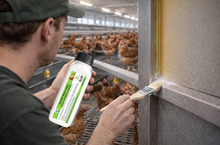 Load image into Gallery viewer, Set – Adele Milbenfrei® 5 Liter + Gustav Milbenstopp1® 1,2 Liter - gebrauchsfertig