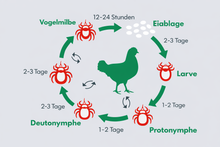 Lade das Bild in den Galerie-Viewer, Set - Adele Milbenfrei® 10 Liter & Gustav Milbenstopp® 1,2 Liter gebrauchsfertig