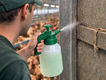 Lade das Bild in den Galerie-Viewer, Set - Adele Milbenfrei® 10 Liter & Gustav Milbenstopp® 1,2 Liter gebrauchsfertig