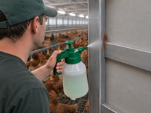Load image into Gallery viewer, Adele Mite-Free 5 Liters - ready-to-use / for hobby animal husbandry
