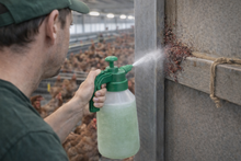 Load image into Gallery viewer, Adele Mite-Free 10 liters – ready-to-use / for hobby animal husbandry
